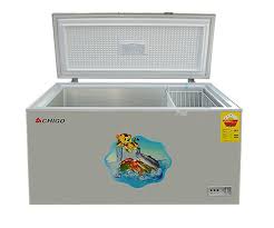 Chigo Chest Freezer Single Door -190ML (BD 300 CFD21)